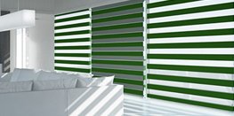 Motorization